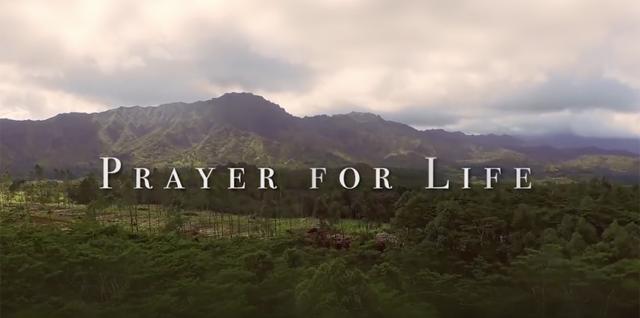 Respect Life Prayer